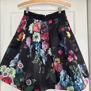 Ted baker flowtii oil painting skirt size 1 (US size 4)
